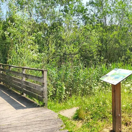 Le Leman - 5 Min A Pieds Du Lac, Des Plages, Des Parcs Lägenhet Publier